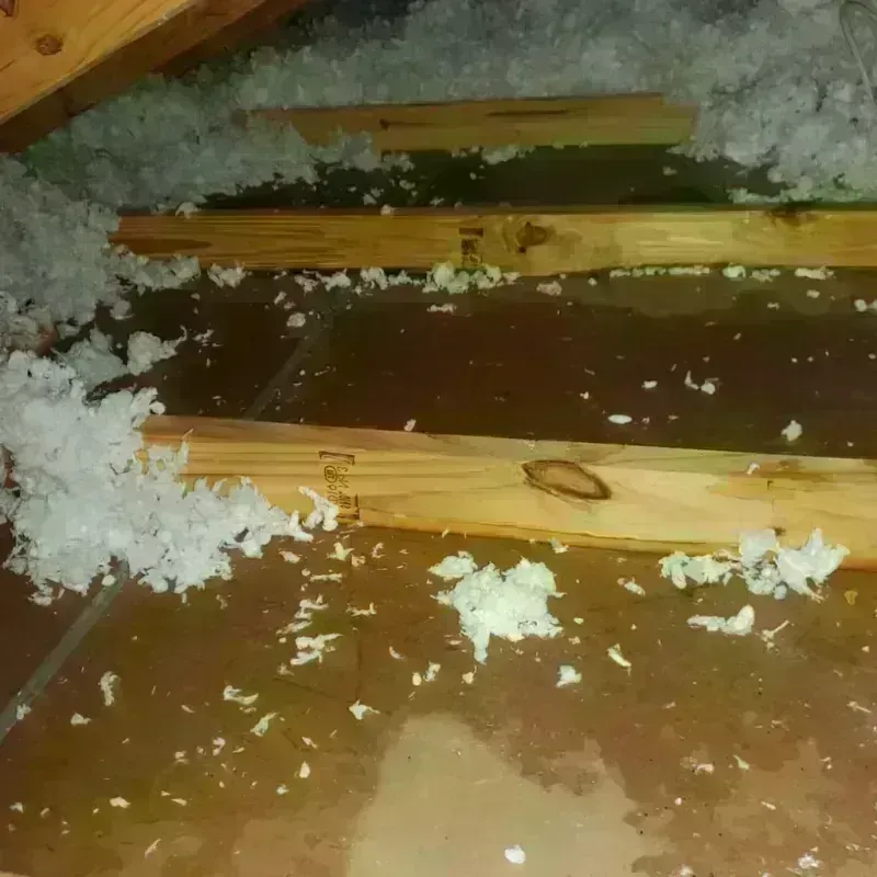 Attic Water Damage in South Hill, WA